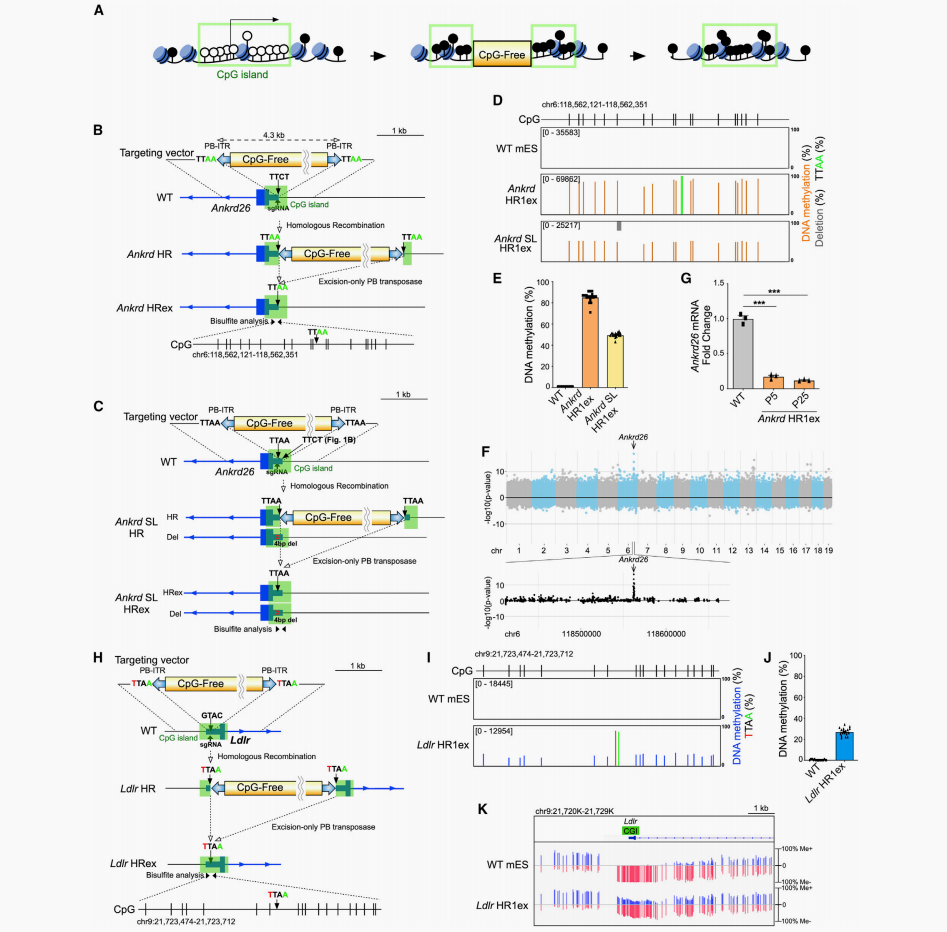 山东第二医科大学图书馆
