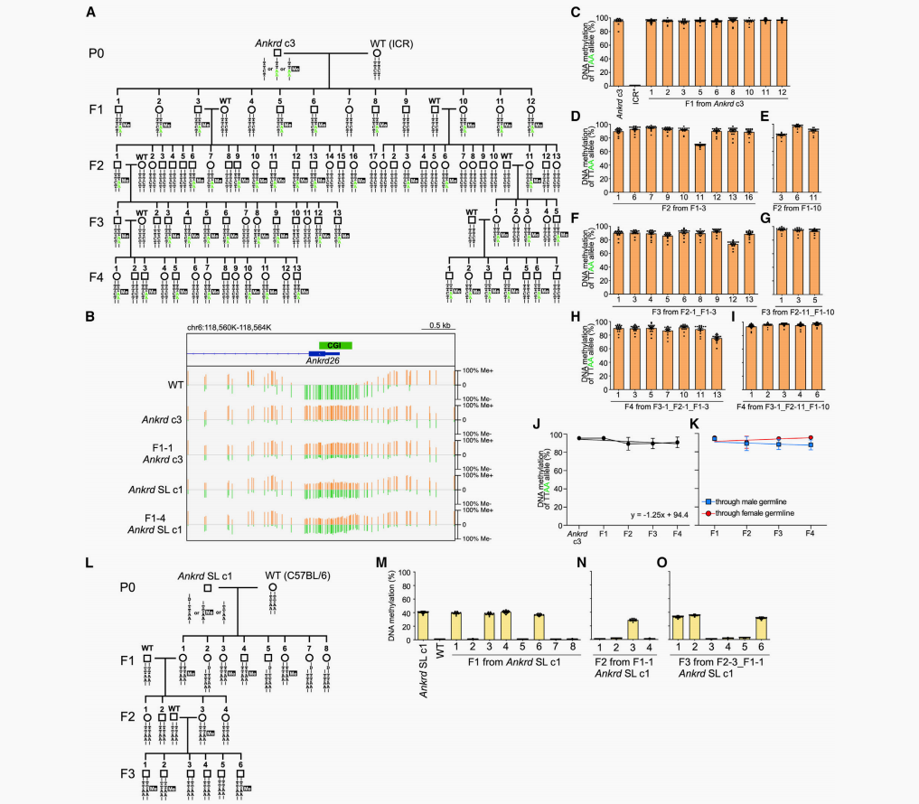 山东第二医科大学图书馆