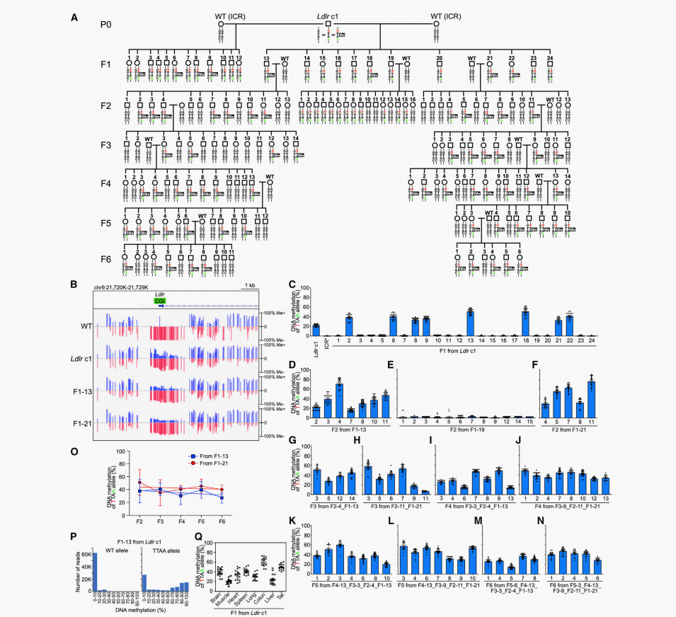 山东第二医科大学图书馆