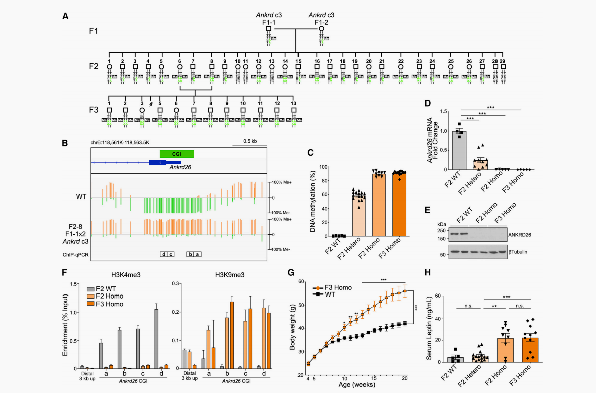 山东第二医科大学图书馆
