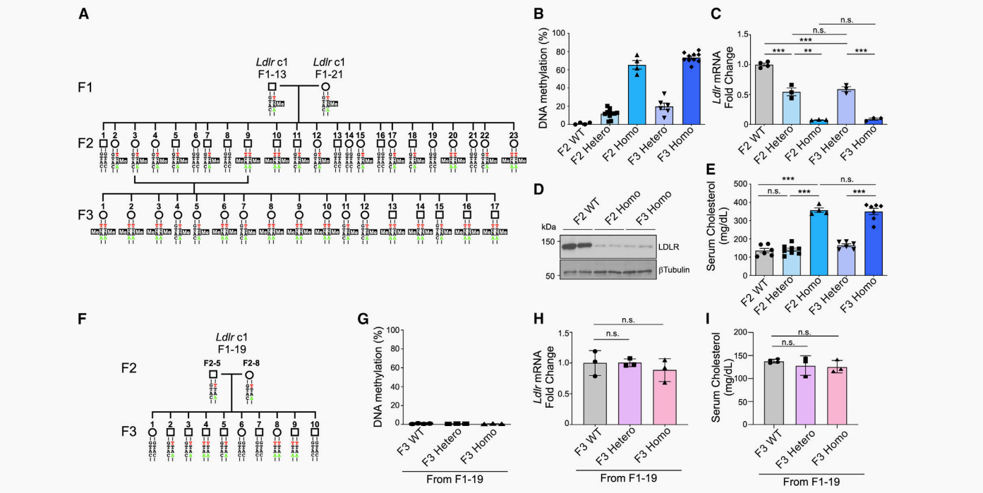 山东第二医科大学图书馆