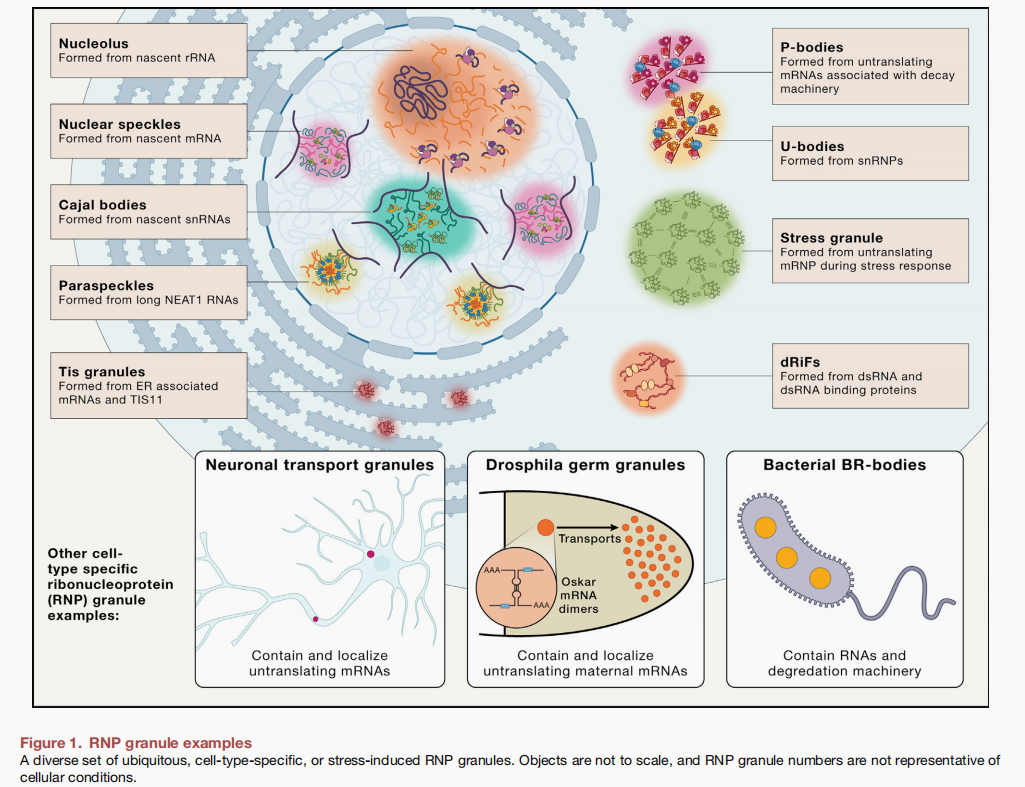 复旦大学附属金山医院图书馆