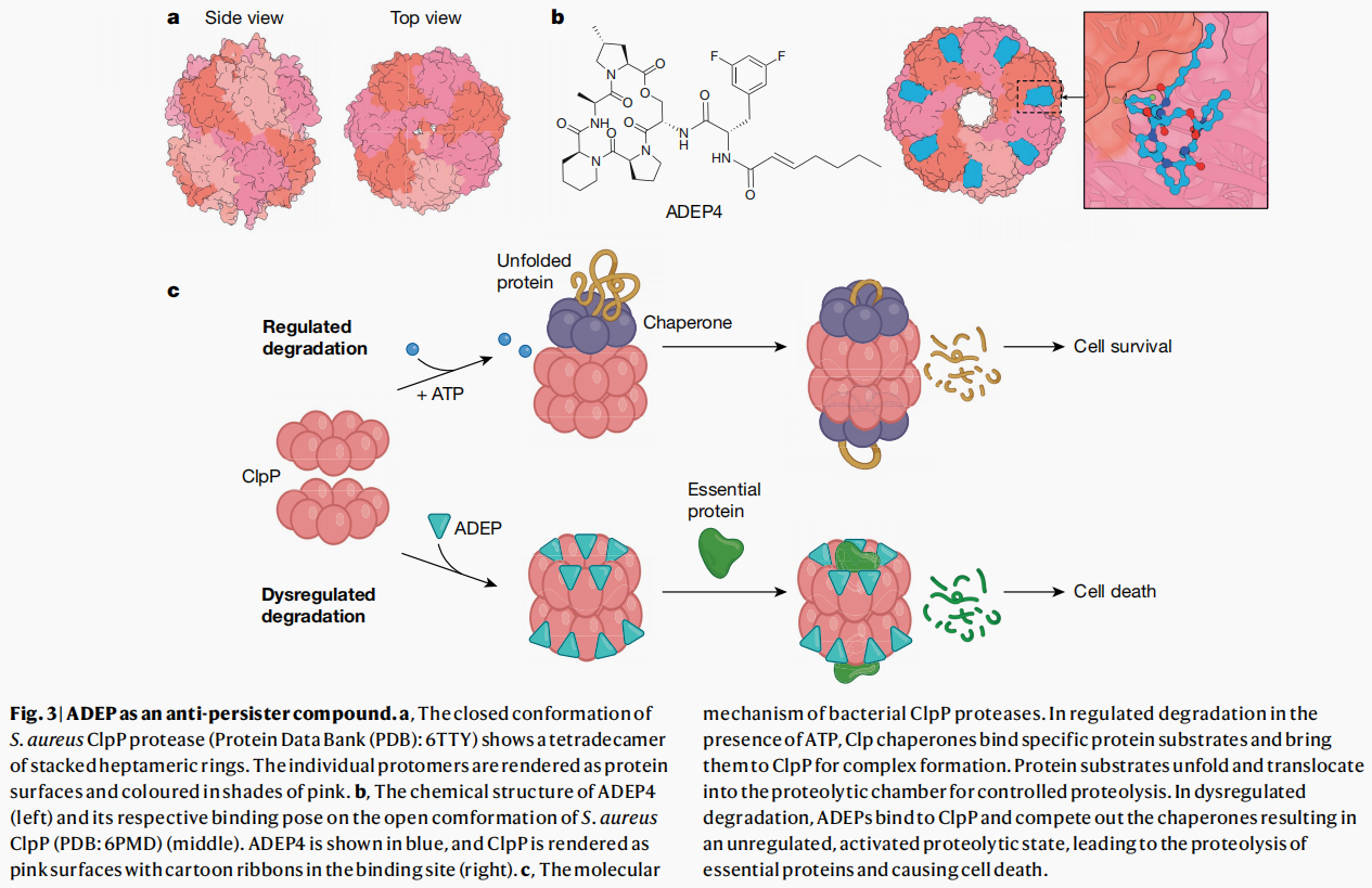 山东省千佛山医院图书馆