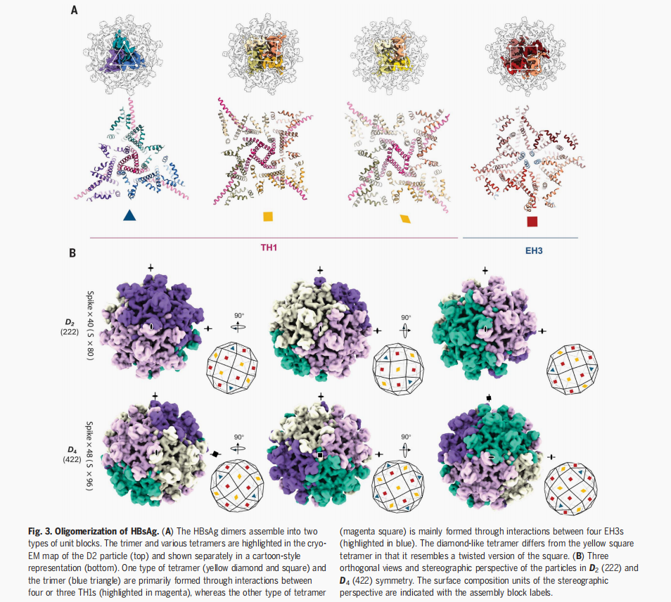 山东省千佛山医院图书馆