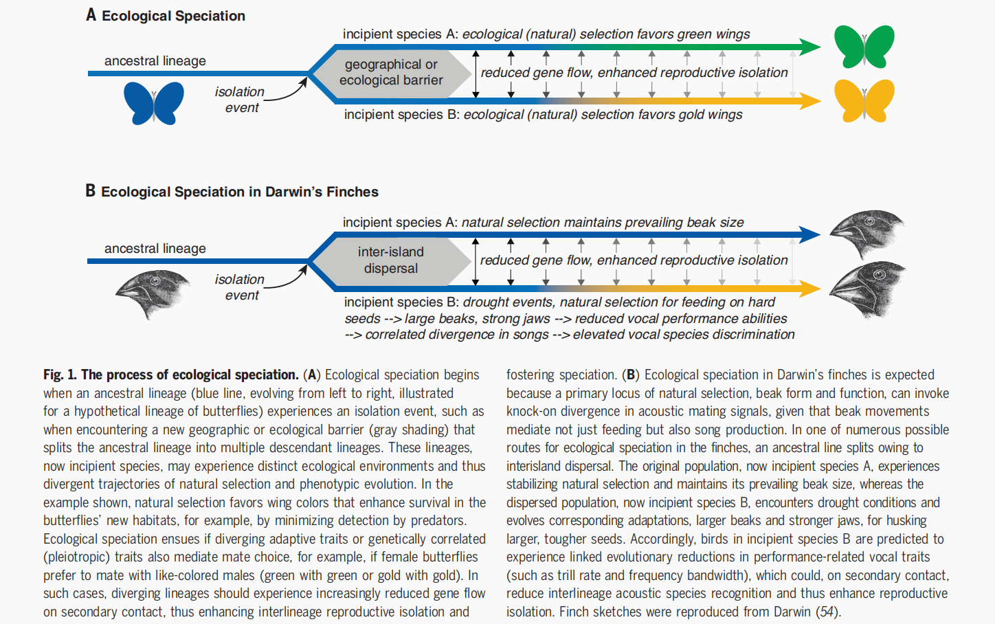 江苏省人民医院图书馆