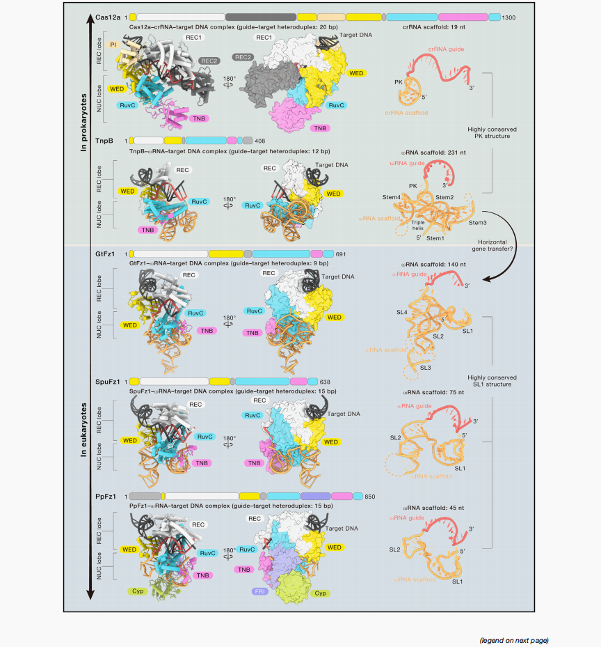 Almost identical 意味 (91) 사진