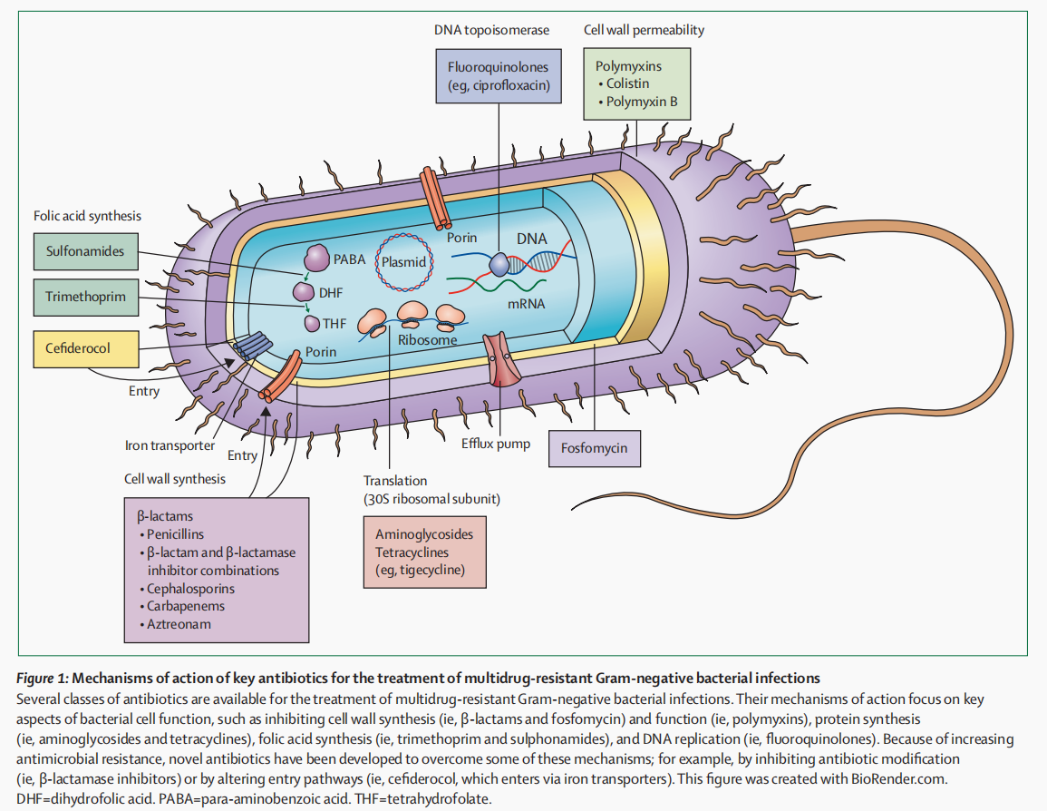 苏州大学附属第四医院（苏州市独墅湖医院）图书馆