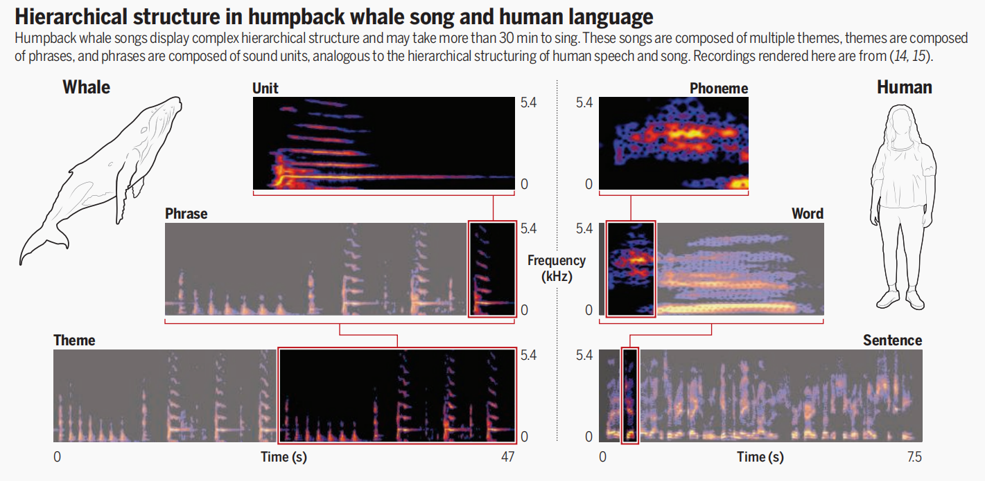 上交大医学院附属第九人民医院图书馆-新闻详情