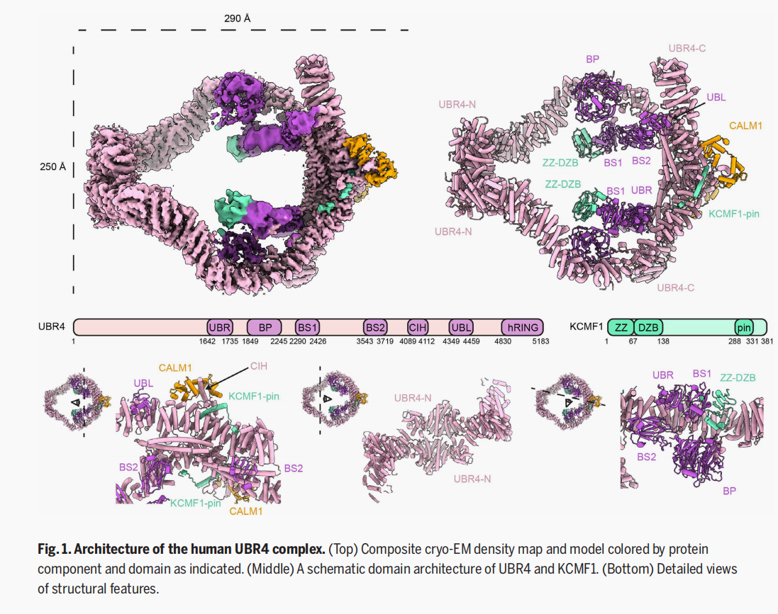 上交大医学院附属第九人民医院图书馆-新闻详情