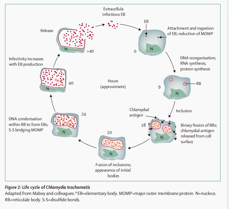 山东第二医科大学图书馆